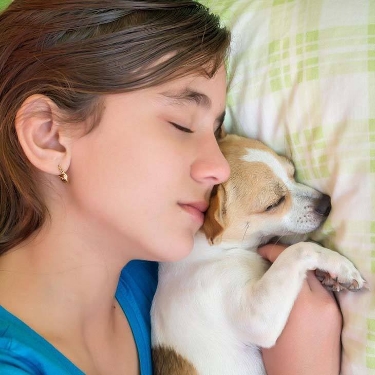 dog and girl sleeping